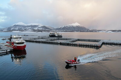 Delar som er kobla saman til heile rammer.