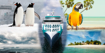 1920x980 polar to tropical