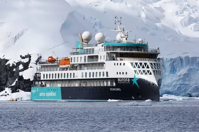 The Sylvia Earle Cierva Cove Antarctica Bartosz Stro z yn ski 38335245