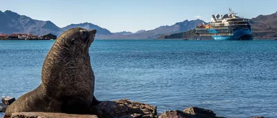 The expedition cruise vessel of the ULSTEIN CX103 design, Ocean Victory, in South Georgia.