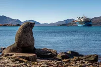 The expedition cruise vessel of the ULSTEIN CX103 design, Ocean Victory, in South Georgia.