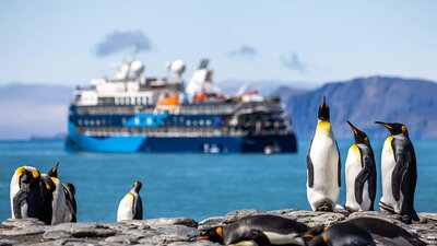 The penguins go on with their daily life, not paying any attention to the Ocean Victory expedition cruise vessel. Photo: Albatros Expeditions.