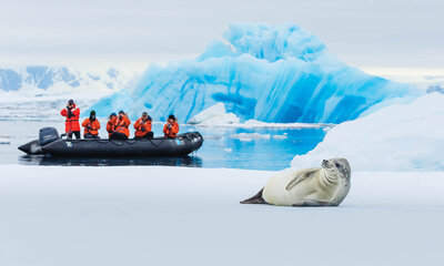 Zodiac and seal, courtesy of Lindblad Expeditions.