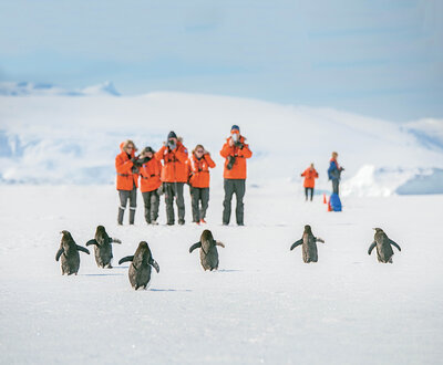 Lindblad Expeditions cruise passengers photographing penguins, courtesy of Lindblad Expeditions.