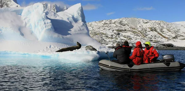 Exploration cruise Seals