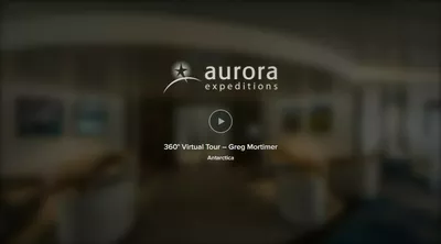 Virtual greg mortimer